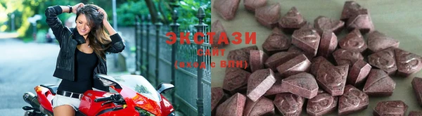 СК Елабуга