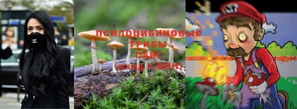 СК Елабуга