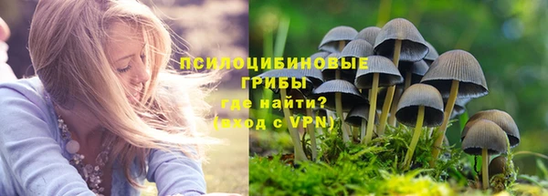 СК Елабуга