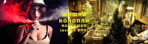 СК Елабуга